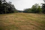 1552 Palm View Road - Photo 47