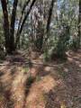 0000 Sw 189Th Ct. Dunnellon Fl - Photo 3