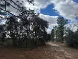 LOT B State Road 121 - Photo 1