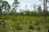 State Road 121 Lot A & B - Photo 14
