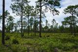  State Road 121 Lot C & D - Photo 14