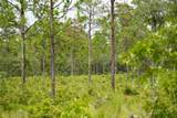 State Road 121 Lot C & D - Photo 7