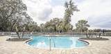 10597 Grand Oaks Boulevard - Photo 43