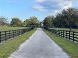 12115 Sunset Harbor Road - Photo 21