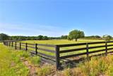 12115 Sunset Harbor Road - Photo 25