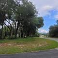 000 Se 118Th Lane - Photo 8