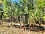 10851 195TH Street - Photo 23