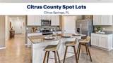 8629 Dove Orchid Drive - Photo 15