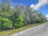 8808 Deltona Boulevard - Photo 12
