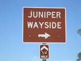 10055 Highway 316 - Photo 87