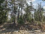 0 Locust Loop Course - Photo 1