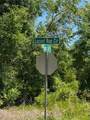 TBD Locust Drive Trail - Photo 10
