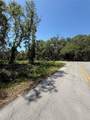 TBD Locust Drive Trail - Photo 12