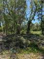 TBD Locust Drive Trail - Photo 15