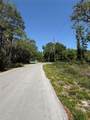 TBD Locust Drive Trail - Photo 8