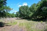 163 and 167 Golden Oaks Road - Photo 13