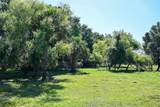 163 and 167 Golden Oaks Road - Photo 19