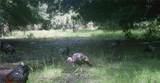 163 and 167 Golden Oaks Road - Photo 20