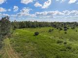 163 and 167 Golden Oaks Road - Photo 3