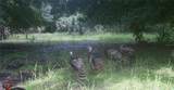 163 and 167 Golden Oaks Road - Photo 30