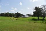 2658 353 Highway - Photo 13
