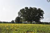 2658 353 Highway - Photo 3