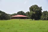 2658 353 Highway - Photo 39