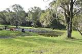 2658 353 Highway - Photo 41