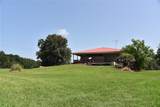 2658 353 Highway - Photo 58