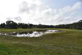2658 353 Highway - Photo 9