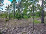  Lime Way - Photo 6