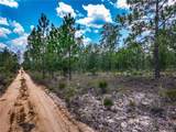  Lime Way - Photo 7