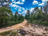  Lime Way - Photo 8