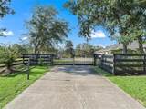 4658 Hacienda Drive - Photo 3