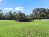 4658 Hacienda Drive - Photo 39