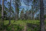  150TH AVE Road - Photo 35