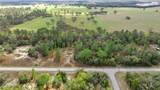 BLK17, Lot 21 Tiger Lake Boulevard - Photo 3