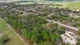 BLK17, Lot 21 Tiger Lake Boulevard - Photo 6