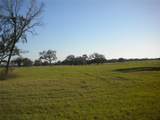 BLK17, Lot 21 Tiger Lake Boulevard - Photo 7
