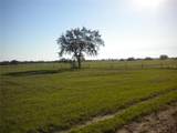 BLK17, Lot 21 Tiger Lake Boulevard - Photo 8