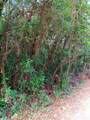 6864 Ottas Court - Photo 17