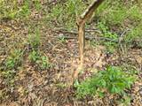  Off Hwy 225 - Photo 26