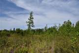  Off Hwy 225 - Photo 32