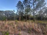 LOT 3 Amberjack Avenue - Photo 1