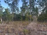 LOT 3 Amberjack Avenue - Photo 3