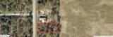 TBD Buena Vista Road - Photo 1