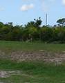 353 Baytree Drive - Photo 3