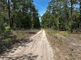 TBD 157TH Avenue - Photo 9