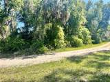 9781 Pomelo Lane - Photo 4