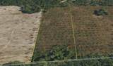  99TH LANE - Photo 34